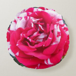 Anicia Rundes Kissen