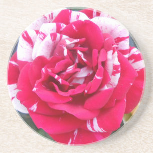 Anicia Sandstein Untersetzer