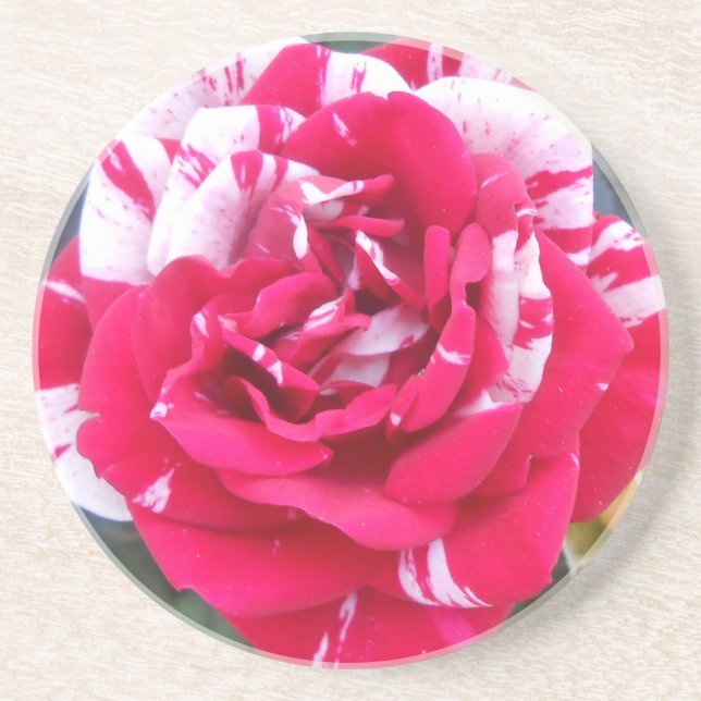 Anicia Sandstein Untersetzer (Vorne)