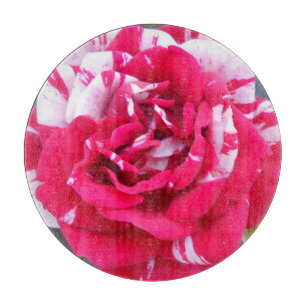 Anicia Schneidebrett