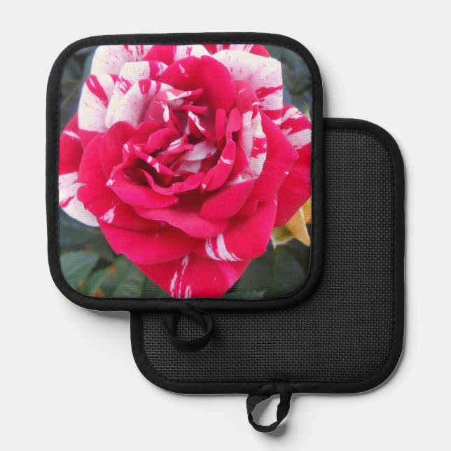 Anicia Topflappen (Vorderseite/Rückseite)