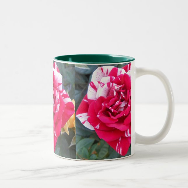 Anicia Zweifarbige Tasse (Rechts)