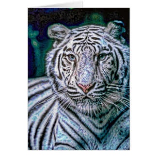 Animal33