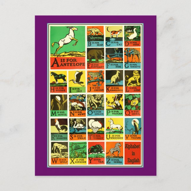 Animal abc alphabet Chart  teachers and learners Postkarte (Vorderseite)