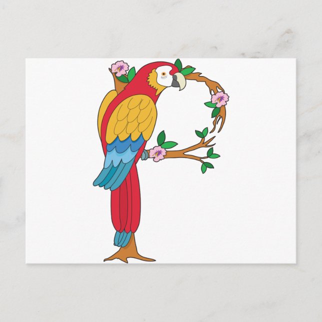 Animal Alphabet Parrot Postkarte (Vorderseite)