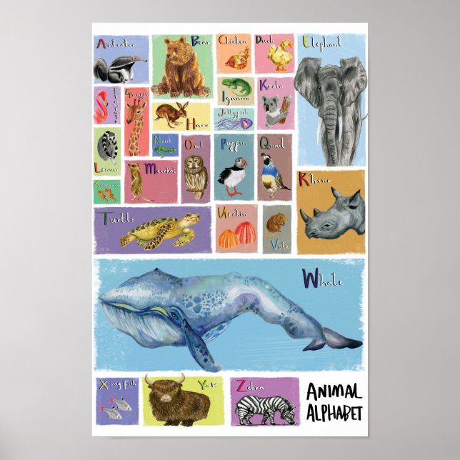 Animal Alphabet Poster (Vorne)