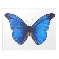 Animal Butterfly Insect Nature Morpho Blue Post-it