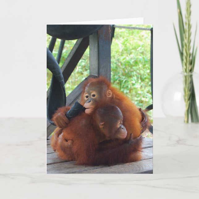 Animal Hugs Orangutan Baby Karte (Vorderseite)