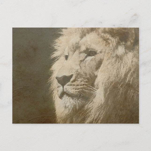 Animal Lion Kopf King Modern Pop Art Template Postkarte (Vorderseite)
