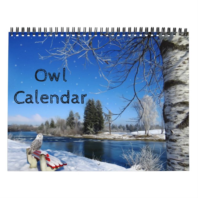 Animal Owl Bird Life Office Zuhause Destiny's Dest Kalender (Titelbild)