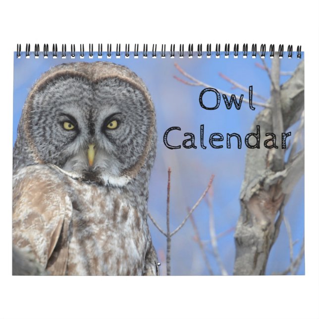Animal Owl Bird Life Office Zuhause Destiny's Dest Kalender (Titelbild)