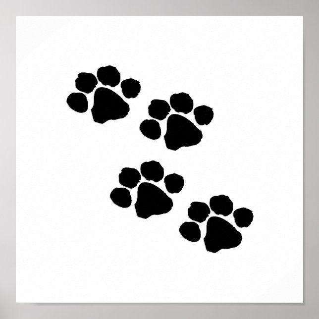 Animal Paw Prints Poster (Vorne)