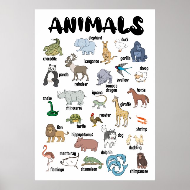 Animal Poster Wall Art (Vorne)
