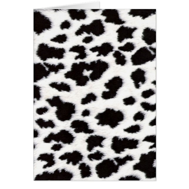 Animal Print 3 (Vorne)
