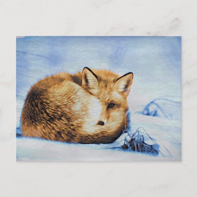 *~* Animal Red Fox Ap18 Artistic Soft Wildlife Postkarte (Vorderseite)