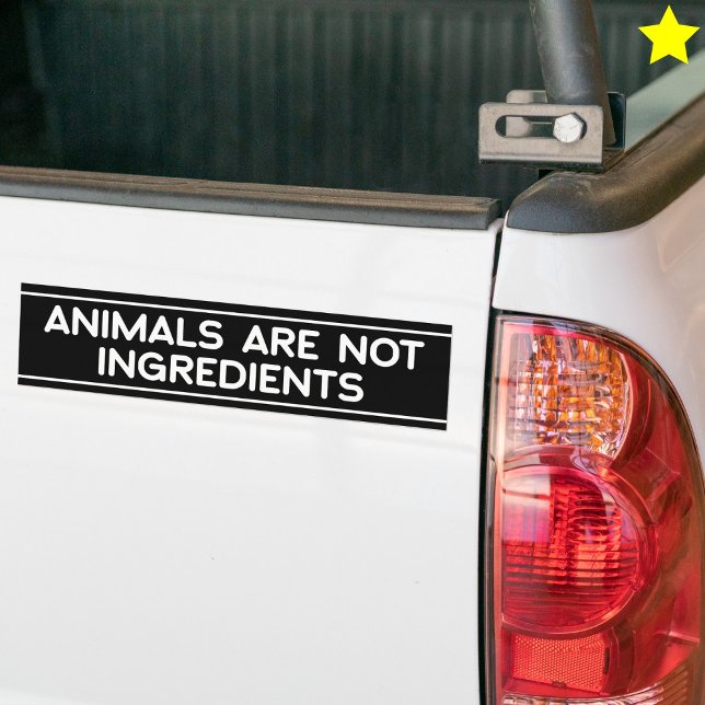 Animal Rights Phrase Vegan Vegetarian Saying Autoaufkleber (Von Creator hochgeladen)