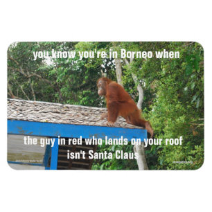Animal Santa Claus Borneo Weihnachtsjokes Premium Magnet