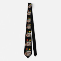 Animal Skull, Cactus, Flowers, and a Cute Spider