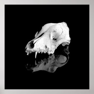 Animal skull poster