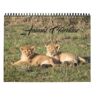 Animal Wild Life Office Zuhause Destiny's Destiny Kalender