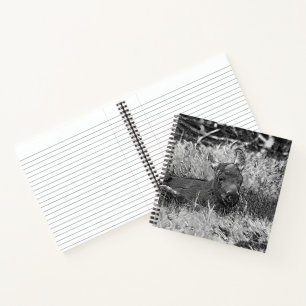 AnimalArtBW_Moose_001 Notizbuch