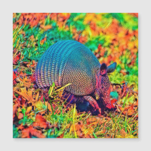 AnimalColor_Armadillo_001 Magnetkarte