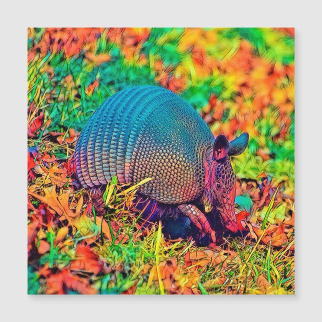 AnimalColor_Armadillo_001 Magnetkarte (Vorderseite)