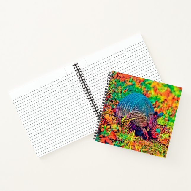 AnimalColor_Armadillo_001 Notizbuch (Innenseite)