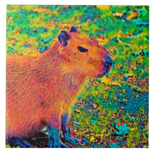 AnimalColor_Capybara_010 Fliese
