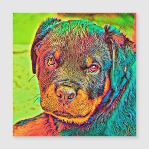AnimalColor_Dog_003 Magnetkarte