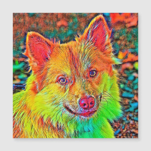 AnimalColor_Dog_020 Magnetkarte