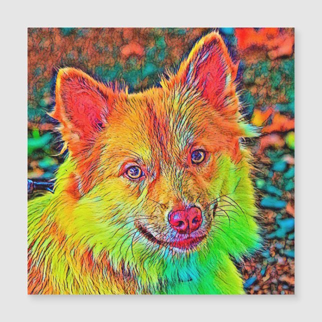 AnimalColor_Dog_020 Magnetkarte (Vorderseite)