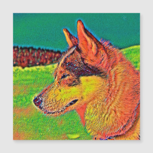 AnimalColor_Dog_039 Magnetkarte