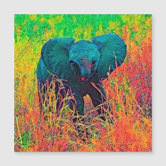 AnimalColor_Elephant_002 Magnetkarte (Vorderseite)