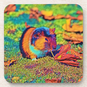 AnimalColor_Guineapig_001 Getränkeuntersetzer