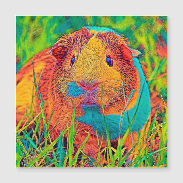 AnimalColor_Guineapig_017 Magnetkarte (Vorderseite)