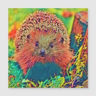 AnimalColor_Hedgehog_002 Magnetkarte
