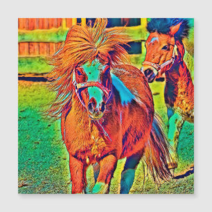 AnimalColor_Horse_001 Magnetkarte