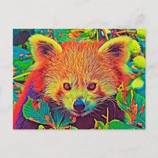 AnimalColor_RedPanda_001 Postkarte (Vorderseite)