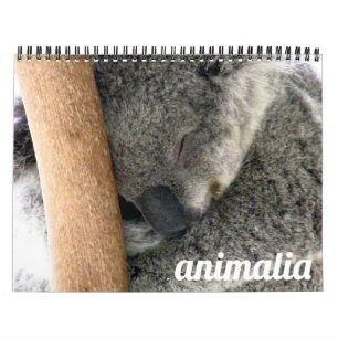 Animalia 2027 kalender