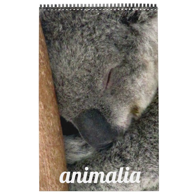 Animalie Kalender (Titelbild)