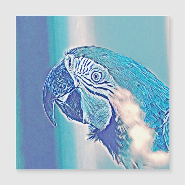 AnimalMix_Bird_009 Magnetkarte (Vorderseite)
