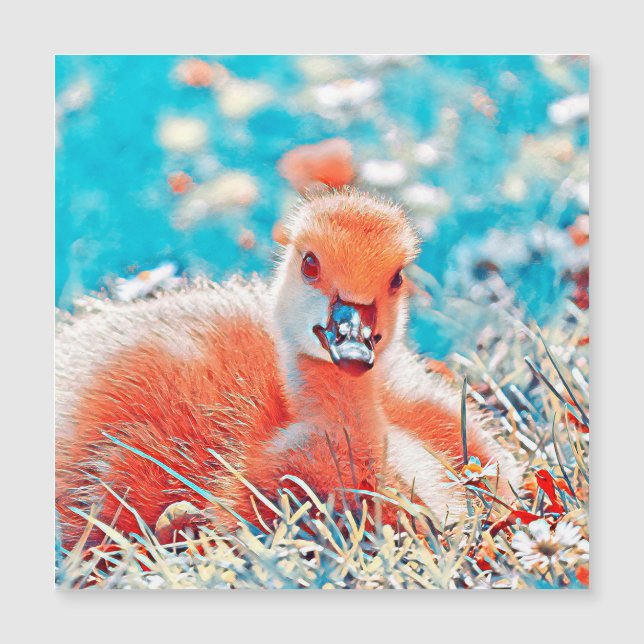 AnimalMix_Bird_019 Magnetkarte (Vorderseite)