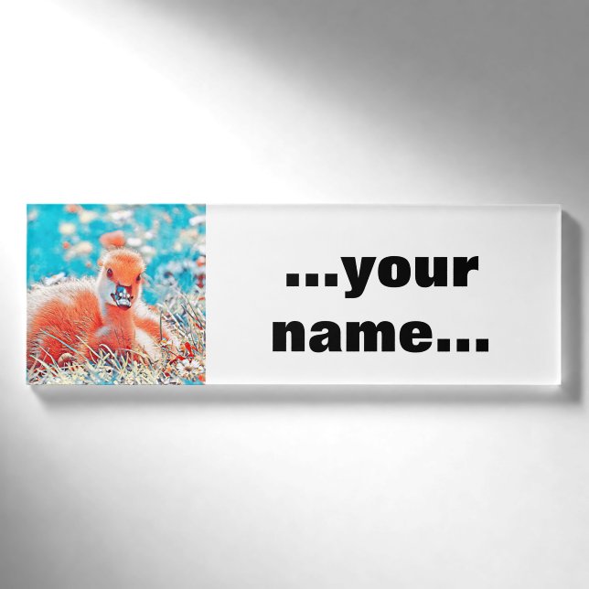 AnimalMix_Bird_019 Namenschild (Vorderseite)