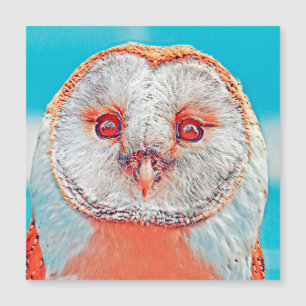 AnimalMix_Bird_023 Magnetkarte