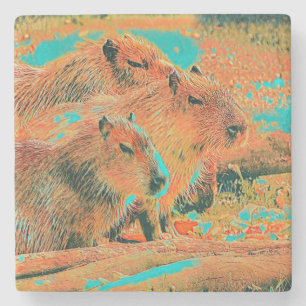 AnimalMix_Capybara_006 Steinuntersetzer