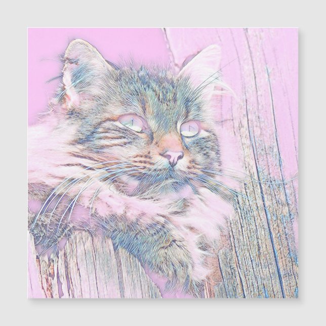 AnimalMix_Cat_012 Magnetkarte (Vorderseite)