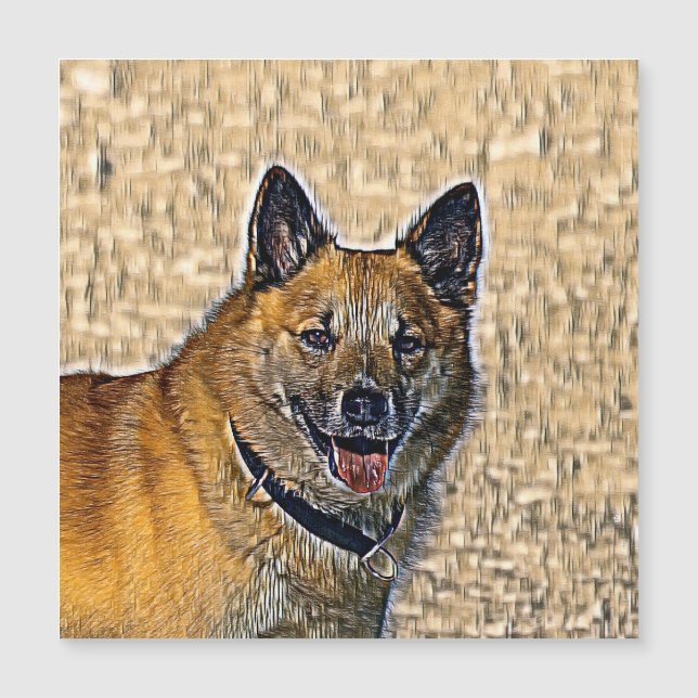AnimalMix_Dog_004 Magnetkarte (Vorderseite)