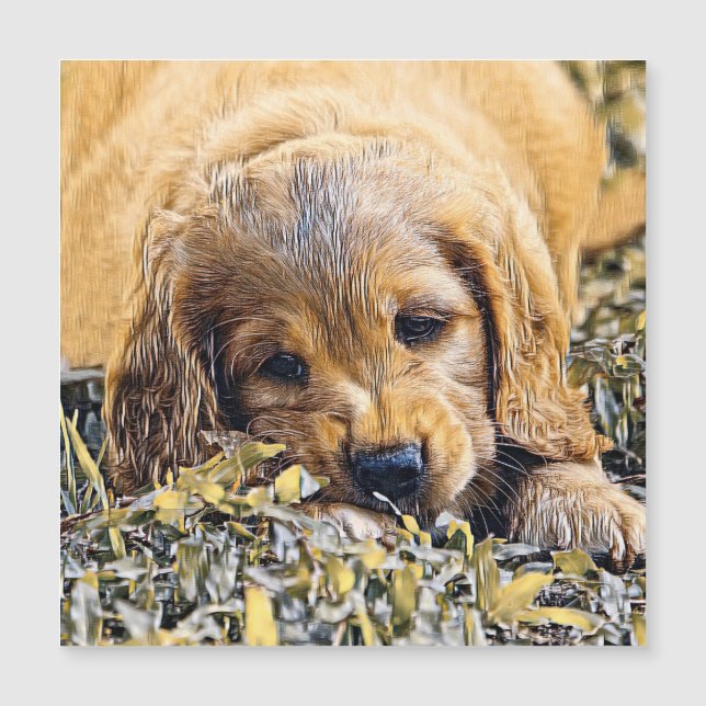 AnimalMix_Dog_005 Magnetkarte (Vorderseite)