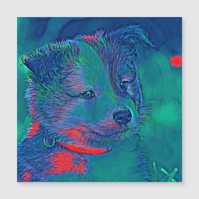 AnimalMix_Dog_022 Magnetkarte (Vorderseite)
